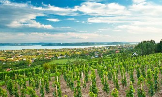 Balaton’s vindistrikt
